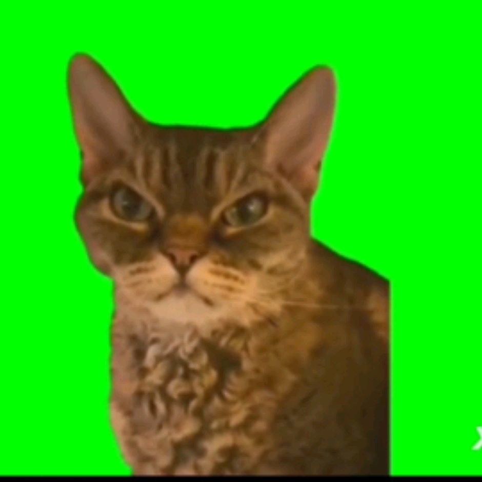 Иконка канала Кактус_пончик90К