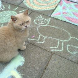 Аватар автора