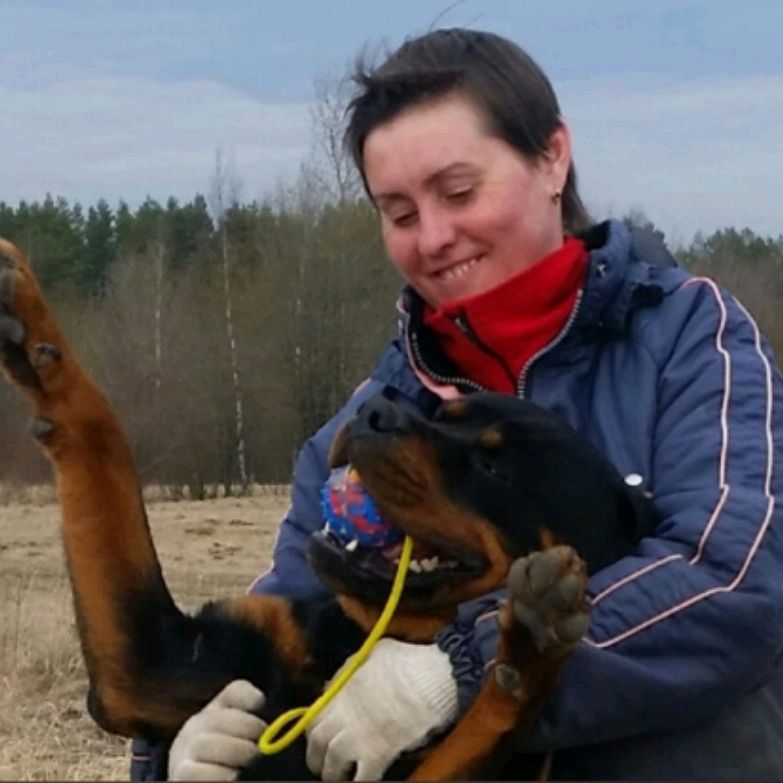 Иконка канала channel49387224