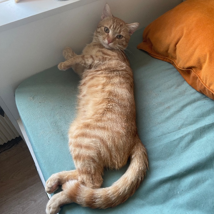 Иконка канала Минь Кхоа