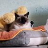 Иконка канала Бездельник