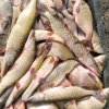Иконка канала Durmaley32rus