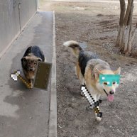 Иконка канала Лев38k