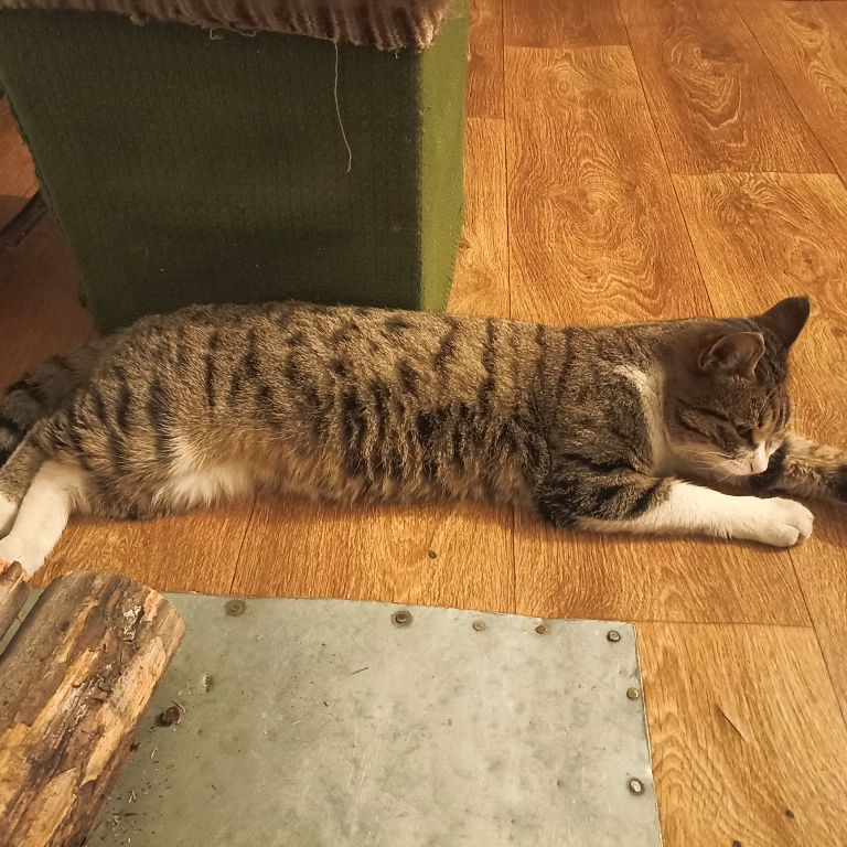 Аватар автора