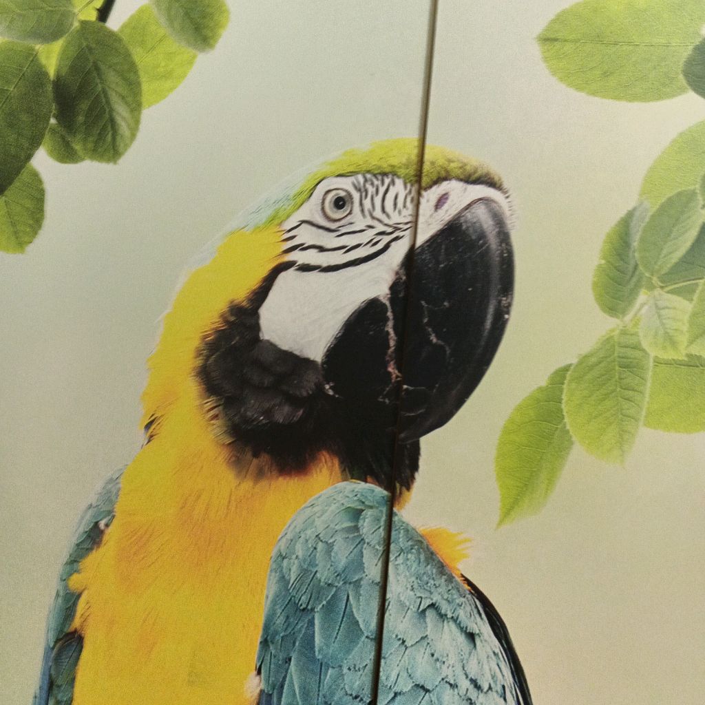 Иконка канала Жепо Крылый Попугай3000