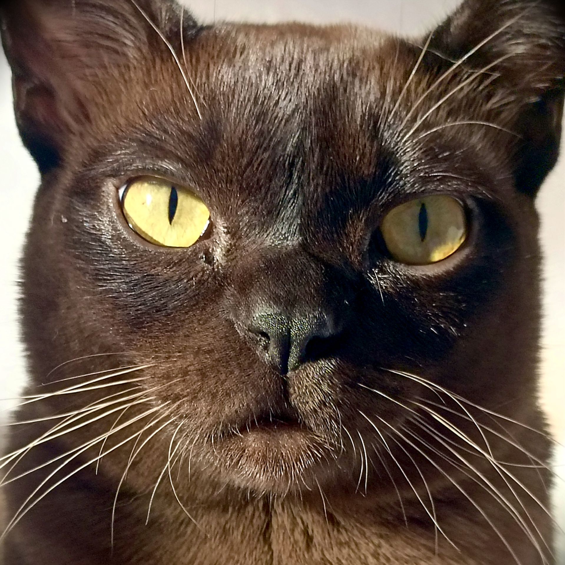 Иконка канала У каждого свое хобби