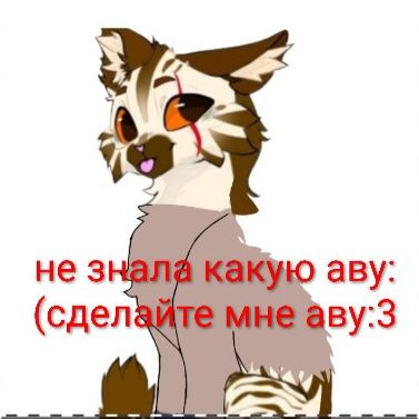 Аватар автора