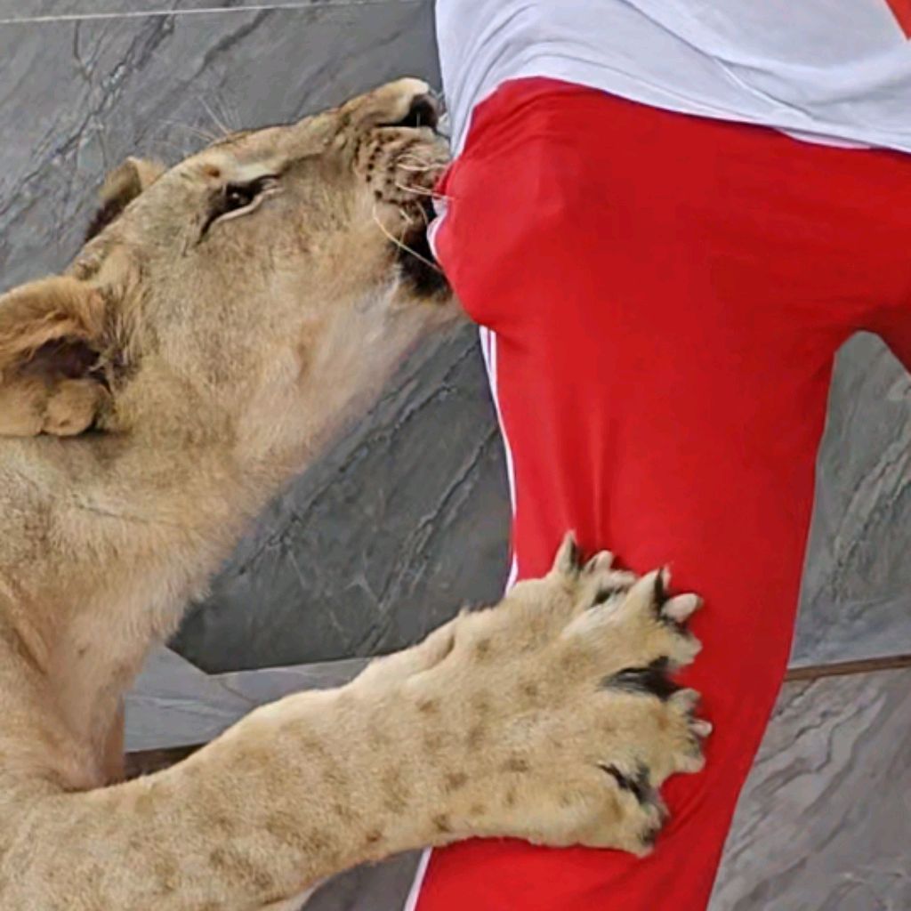 Иконка канала Stanley Kubrick (Ex.Stanless Grey)