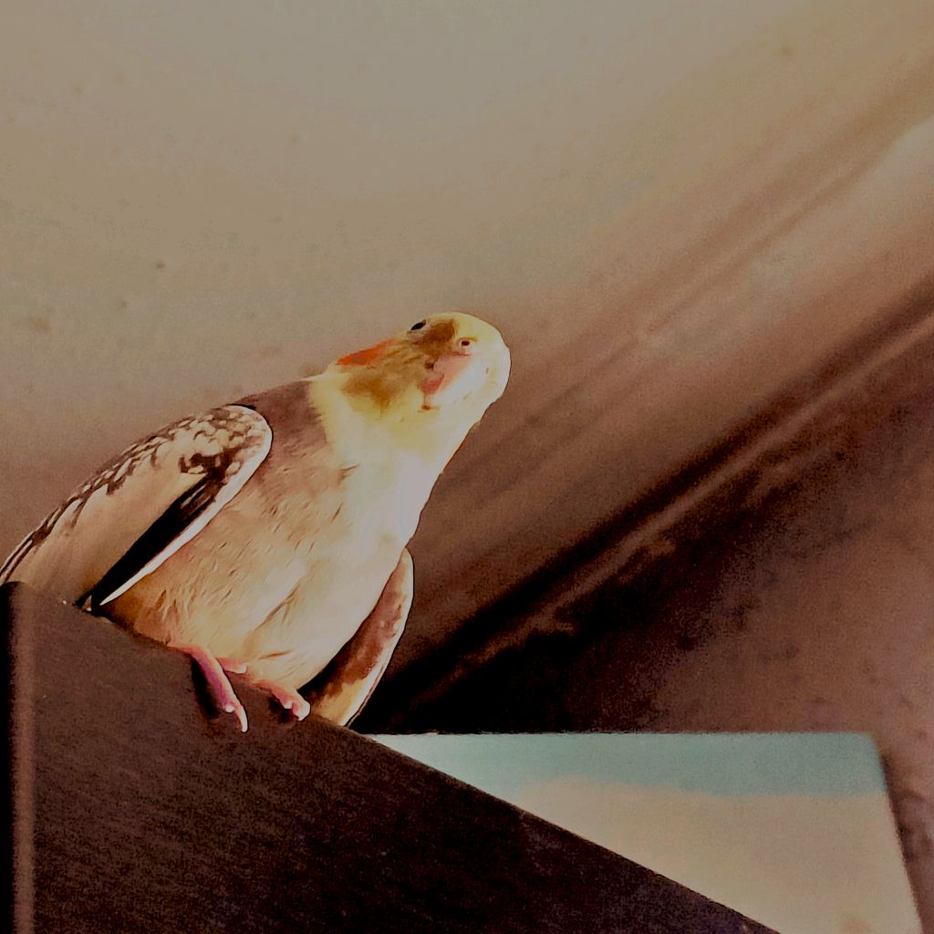 Иконка канала ДаняМит2109