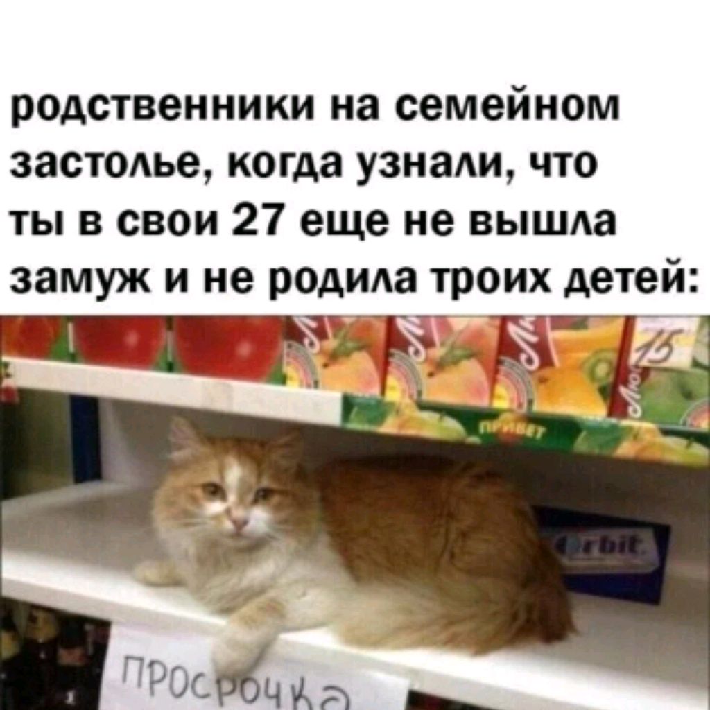 Иконка канала Кот В Магазине