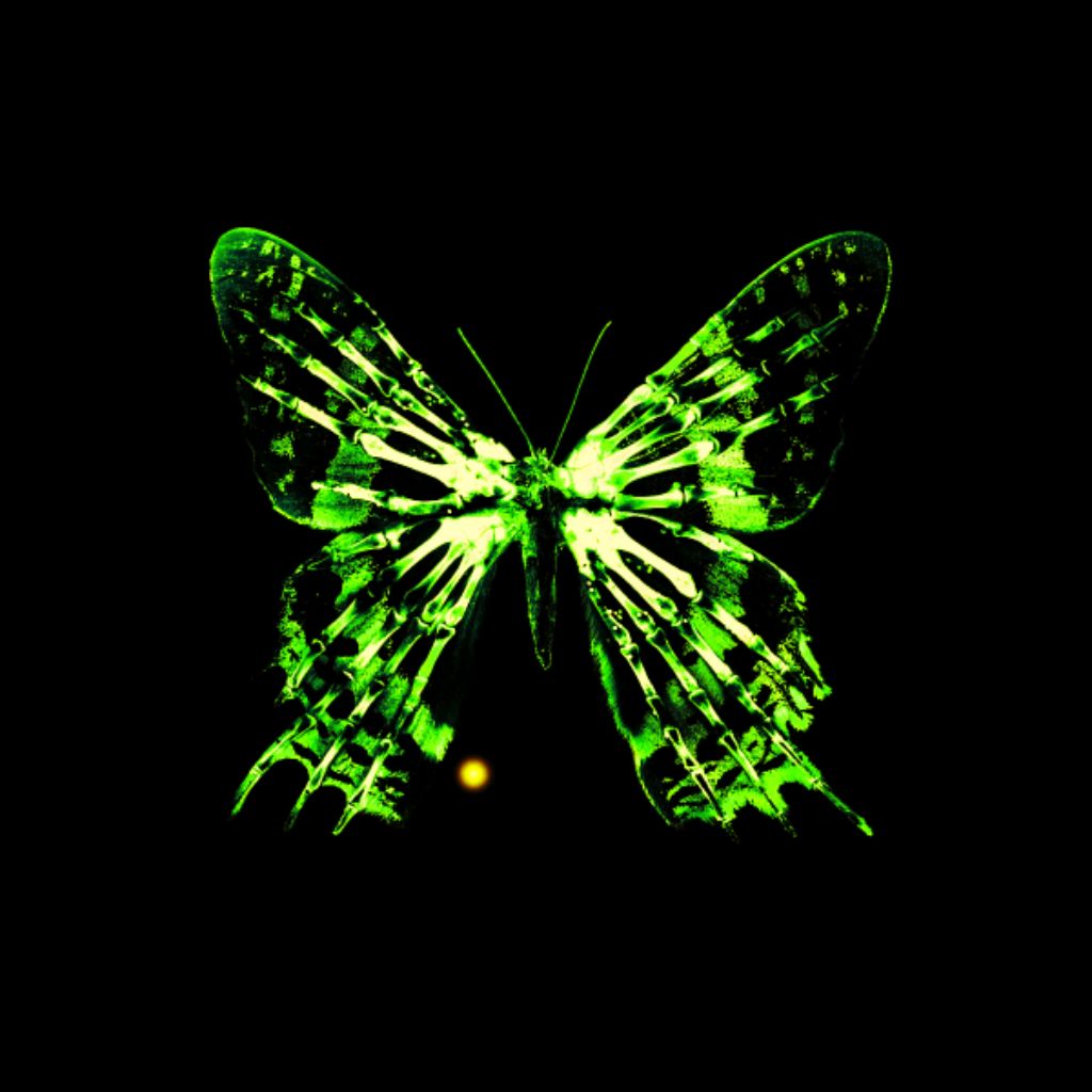 Иконка канала Monarh Butterfly