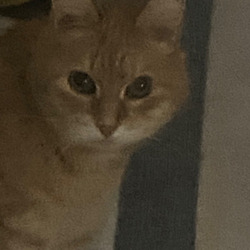 Иконка канала Нет