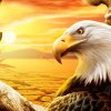Иконка канала SkyEagle