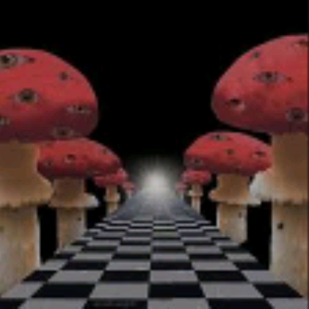 Иконка канала [🐾🐈]–бетти