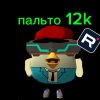 Иконка канала 🇷🇺Пальто 12к OFFICIAL😎✅(😾🟪=🤮)