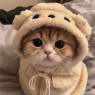 Иконка канала BrawlBtars fanzyy