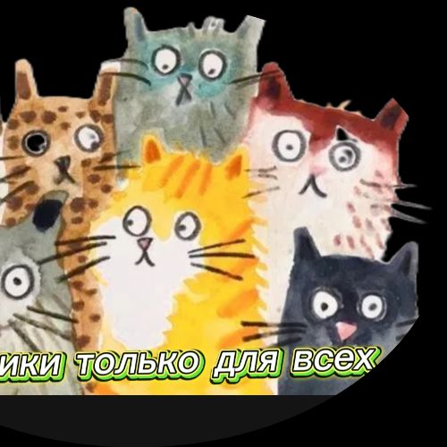 Иконка канала Котики 7
