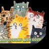 Иконка канала Котики 7