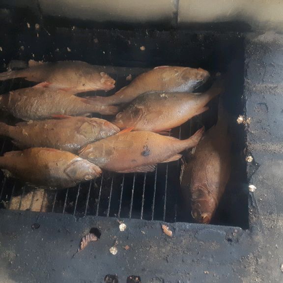 Иконка канала пятов