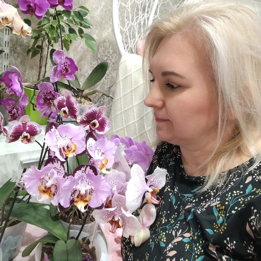 Иконка канала Мой Орхоуголочек