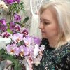 Иконка канала Мой Орхоуголочек