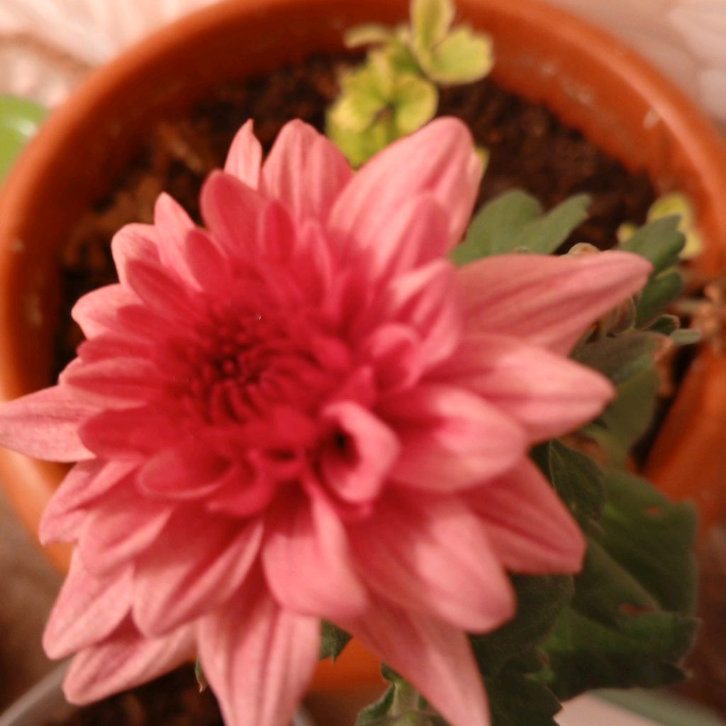 Иконка канала Моя жизнь на пенсии