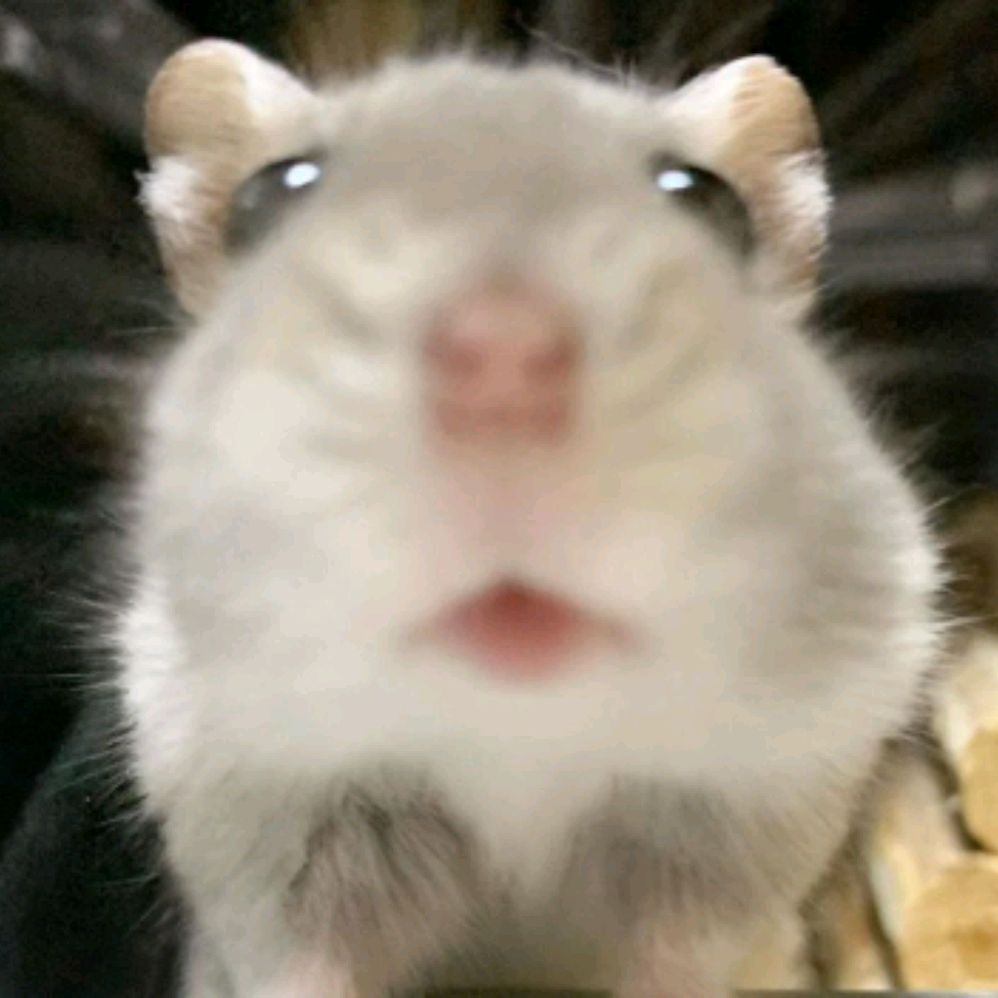 Иконка канала Лайфхаки и Советы