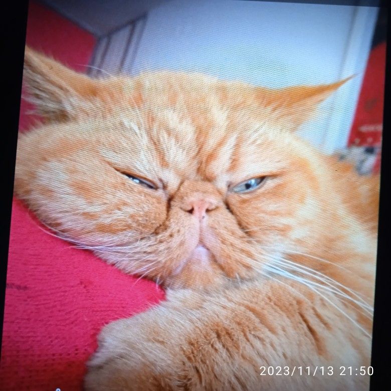 Иконка канала Добро пожаловать в Москву!!!