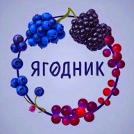 Иконка канала Ягодник