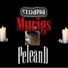 Иконка канала Studiya Murigc - PeleanD