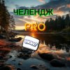 Иконка канала Челендж PRO