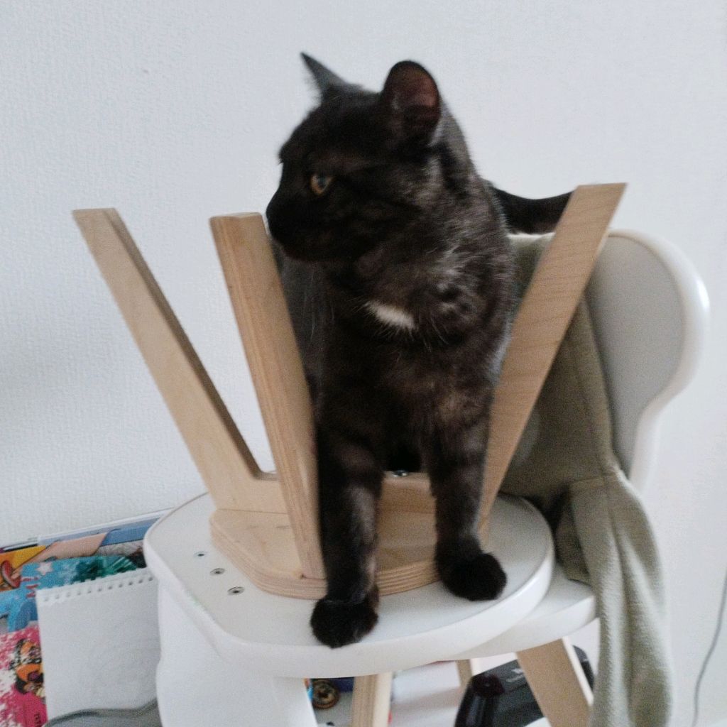 Иконка канала Тимофей %{}{}67￴￴￴￴￴￴￴￴￴￴￴￴￴￴￴￴ ￴￴￴￴￴￴￴￴￴￴￴￴ ￴￴￴￴