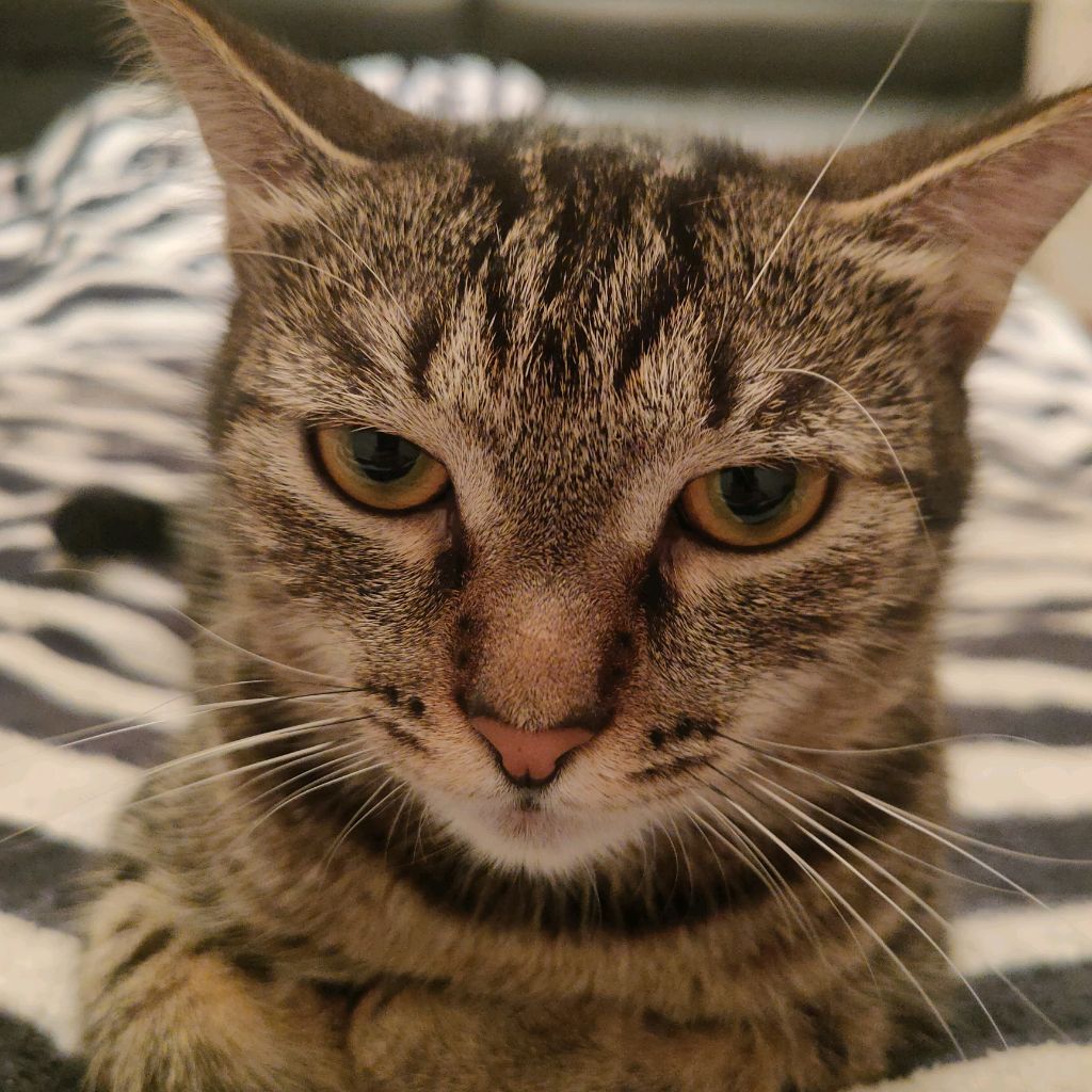 Иконка канала Ваня120к