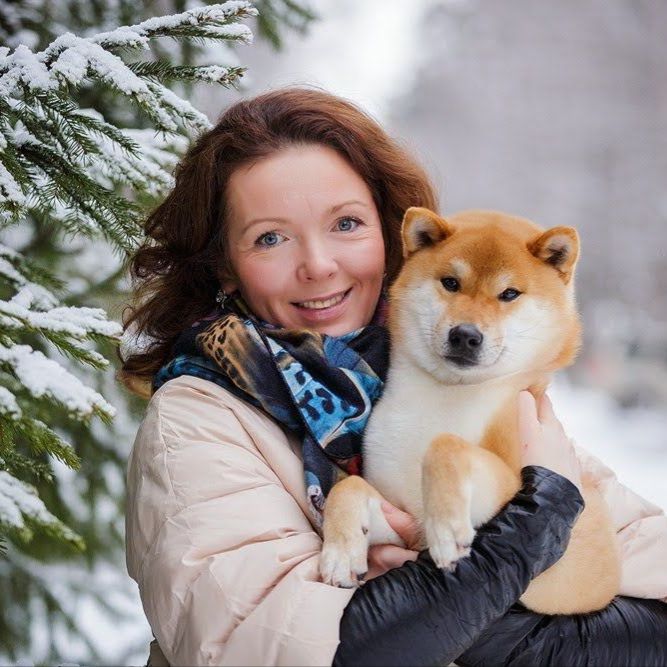 Аватар автора