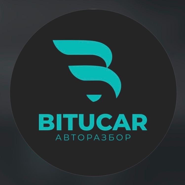 Иконка канала BITUCAR