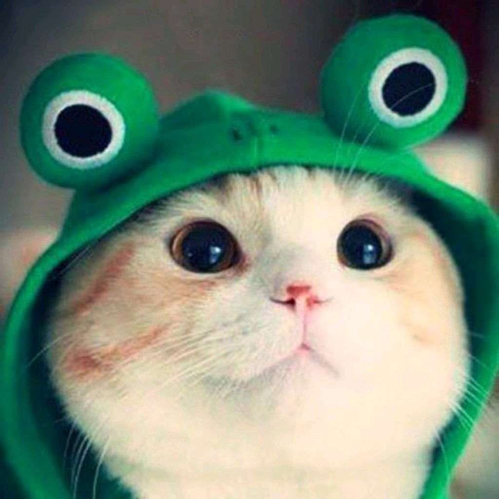 Иконка канала Мой уголок✨