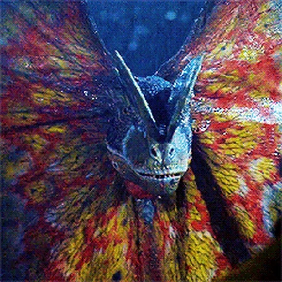 Аватар автора