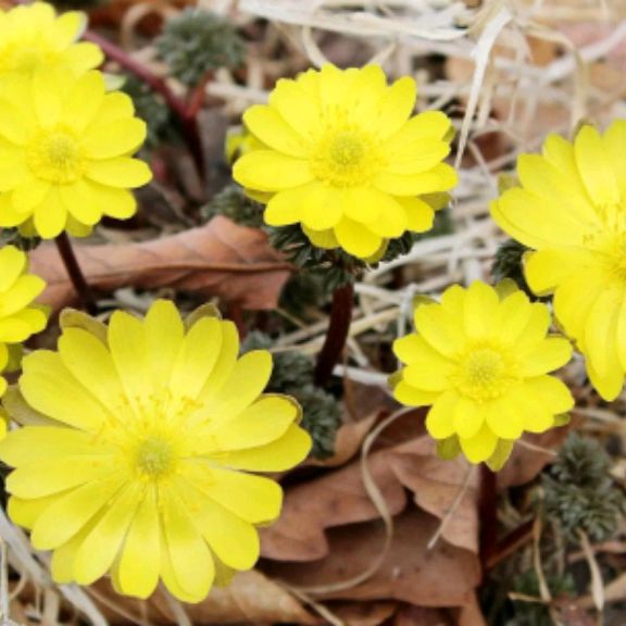 Иконка канала Для души-монтаж видеороликов