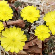 Иконка канала Для души-монтаж видеороликов