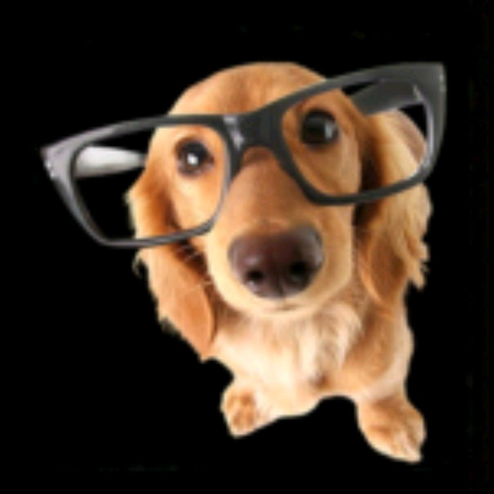 Иконка канала Собачка-бе