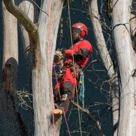 Иконка канала Зайцев Лес