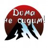 Иконка канала Дома не сидим!