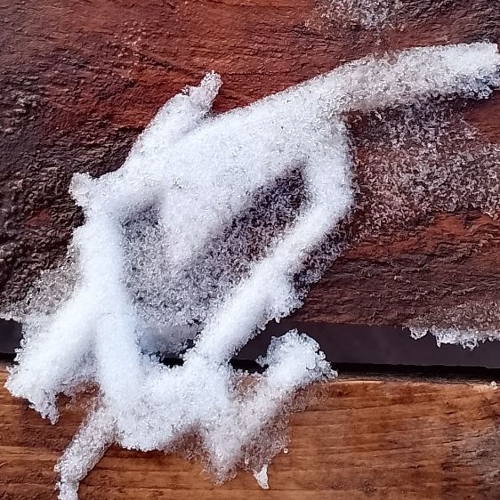 Иконка канала Свобода мысли