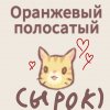 Иконка канала 🧀≈ cheese ≈🧀 {Кошки и суп}