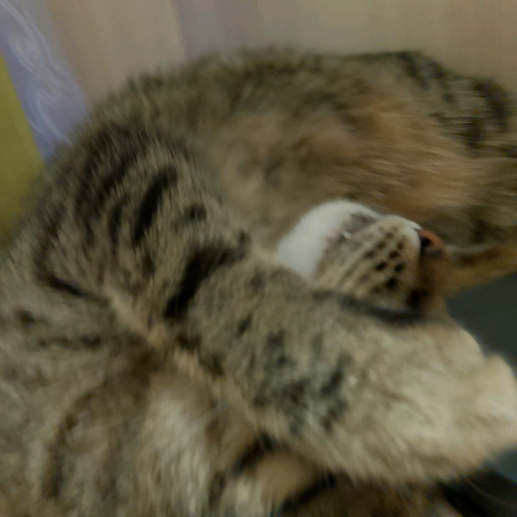 Иконка канала Кузька