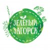 Иконка канала Зелёный Загорск