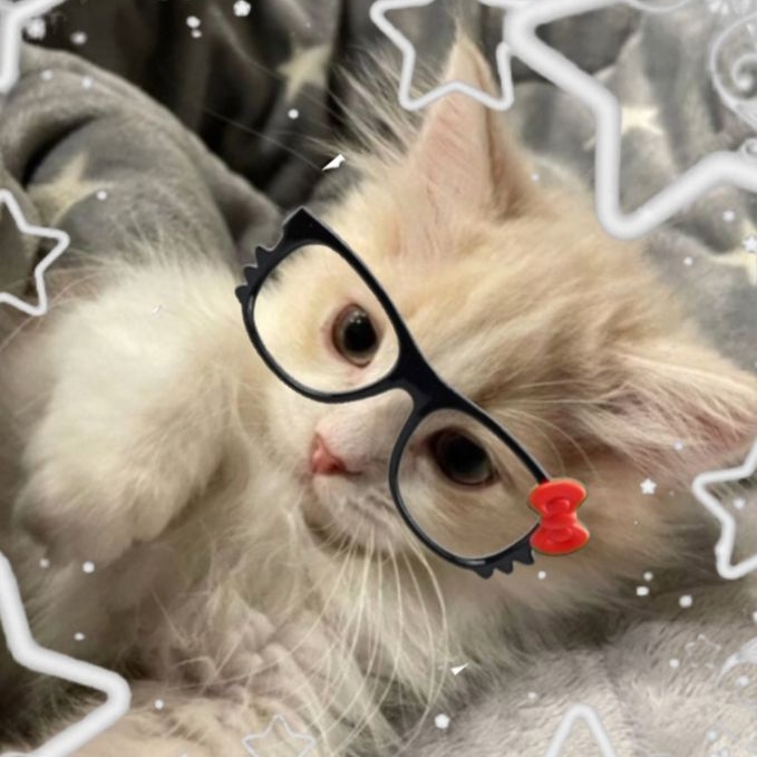 Иконка канала Ляна Морис