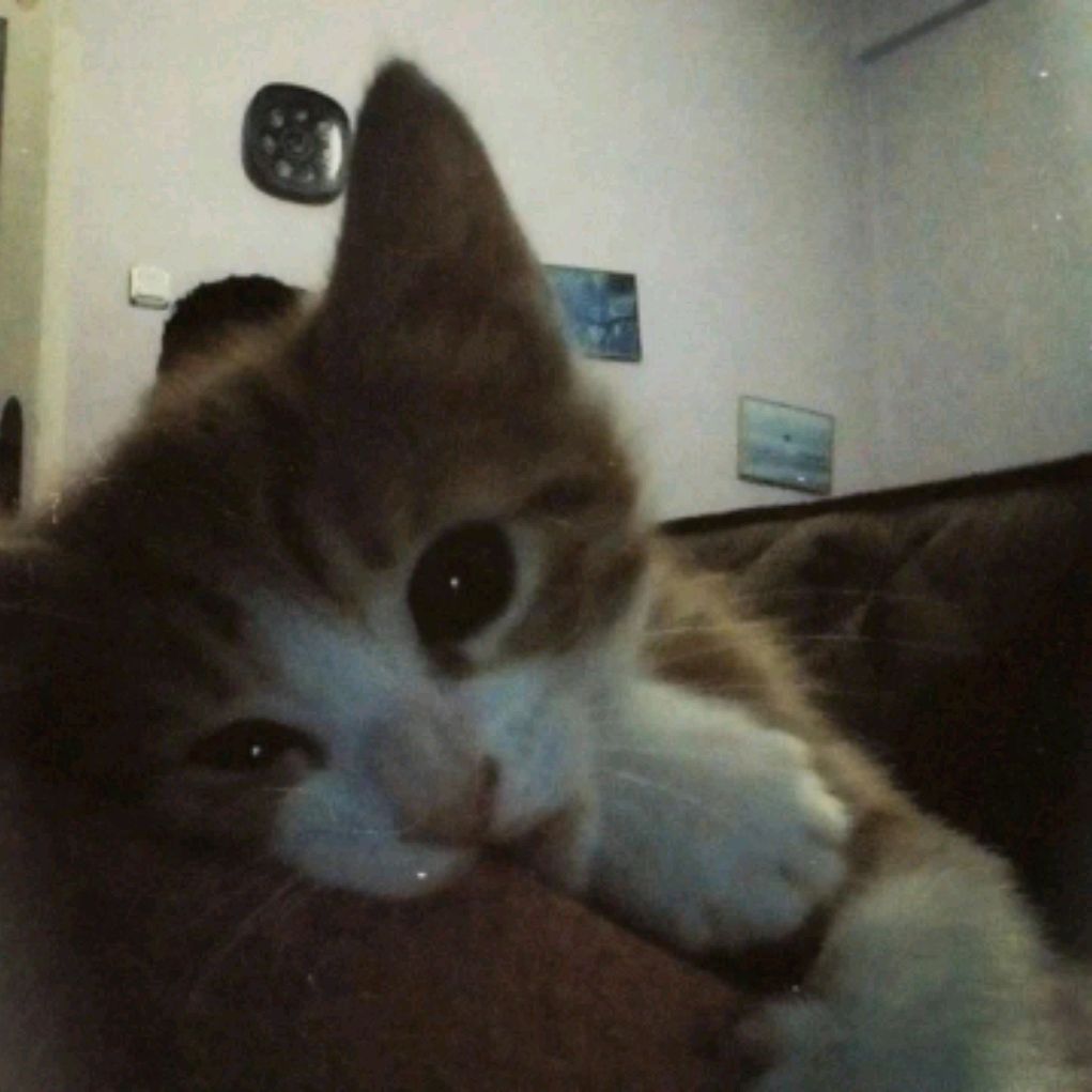 Иконка канала Soliv🪽