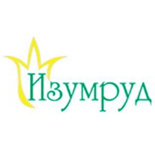 Иконка канала IZUMRUD товары для дома и сада