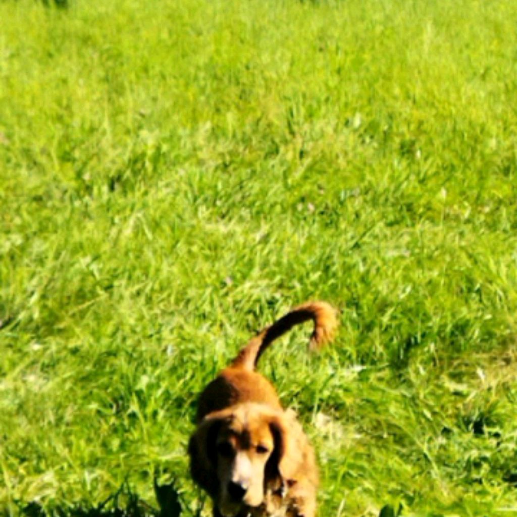 Иконка канала Бимка Роблокс